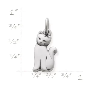 Cat Charm
