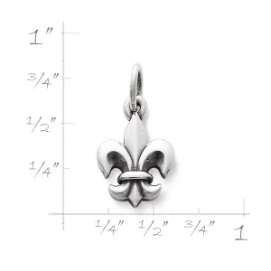 Fleur-De-Lis Charm