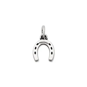 Horseshoe Charm